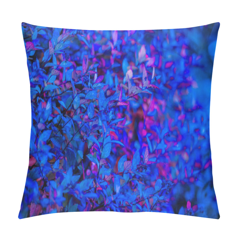 Personality  Vibrant Spirea Leaves In Sapphire Tones, Captured With Shallow Depth Of Field. Pillow Covers