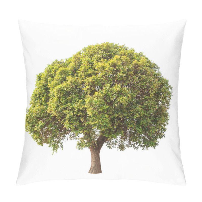 Personality  Parinari Anamensis, Tropical Tree In The Northeast Of Thailand I Pillow Covers