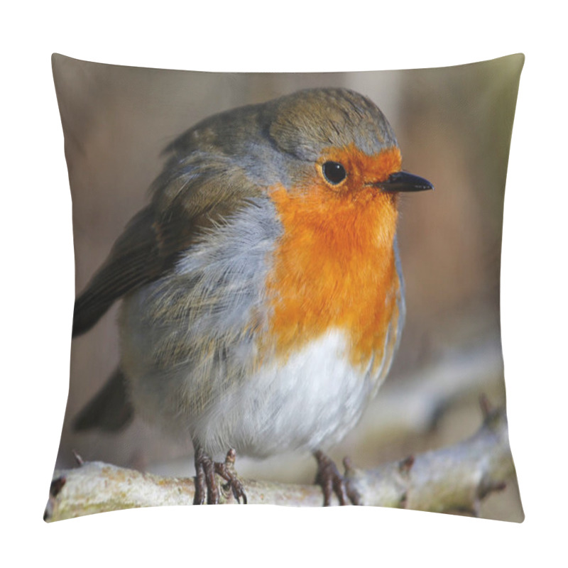 Personality  Eurasian Robin In The Woods Pillow Covers