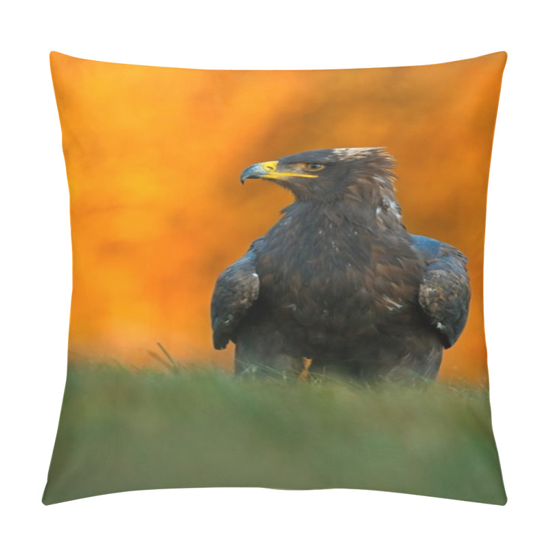 Personality  Steppe Eagle Sitting In The Grass Pillow Covers