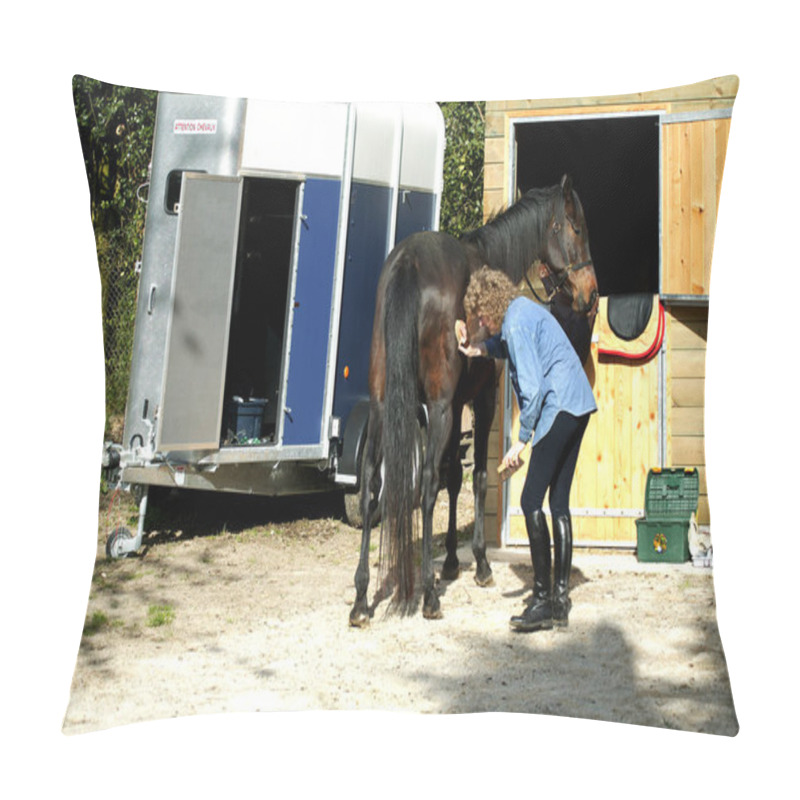 Personality  Woman With English Thoroughbred Horse, Horse Grooming  Pillow Covers