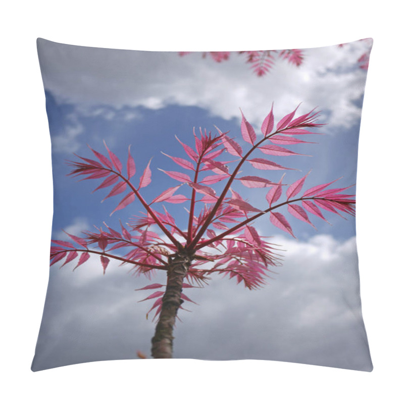 Personality  Toona Sinensis 'Flamingo' Pillow Covers