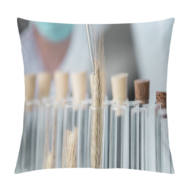 Personality  Test Tubes In Chemical Laboratory Pillow Covers