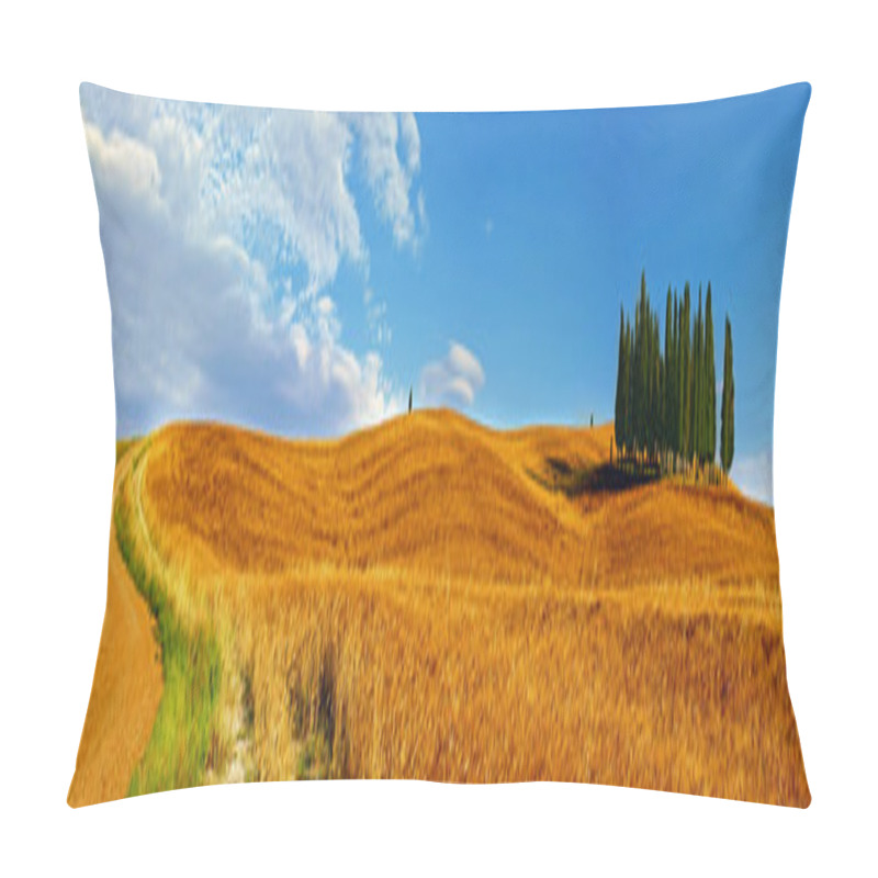 Personality  Cypress Trees On Flowered Field. Val D'Orcia, Tuscany, Italy Pillow Covers