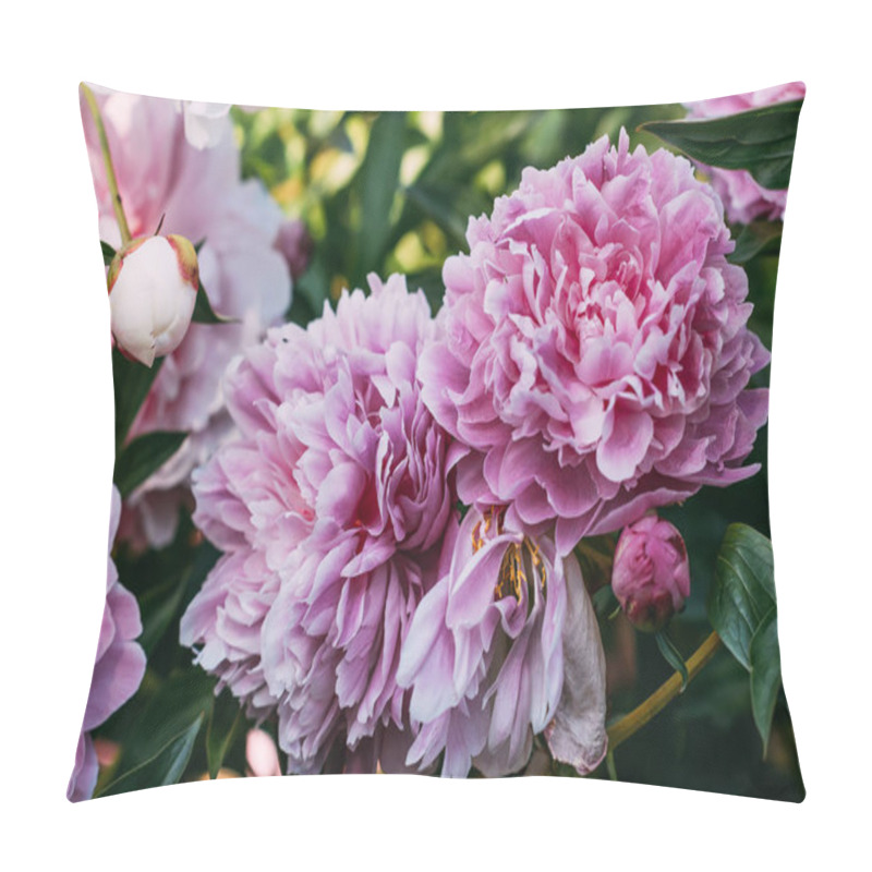 Personality  Close Up Of Pink Peony Flowers In Garden Pillow Covers