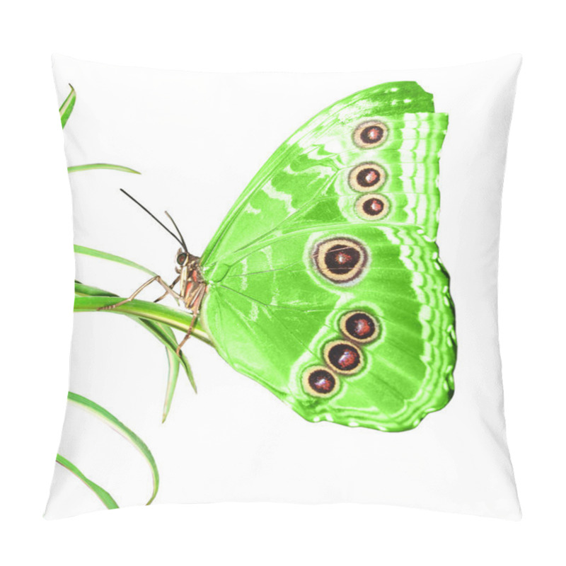 Personality  Beautiful Butterfly Pillow Covers