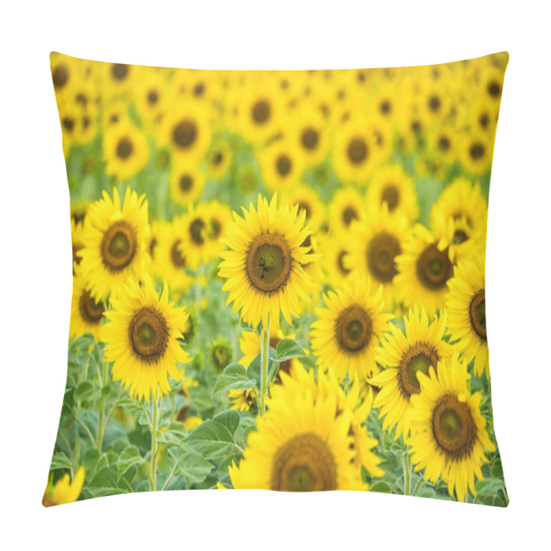 Personality  A Sunflower Field Captured In Perfect Detail, Highlighting The Brightness And Vivid Colors Of Each Blooming Flower Pillow Covers