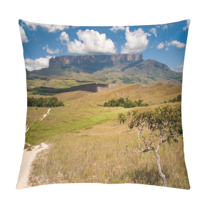 Personality  View Of Roraima Table Mountain, La Gran Sabana, Canaima National Park, Venezuela Pillow Covers