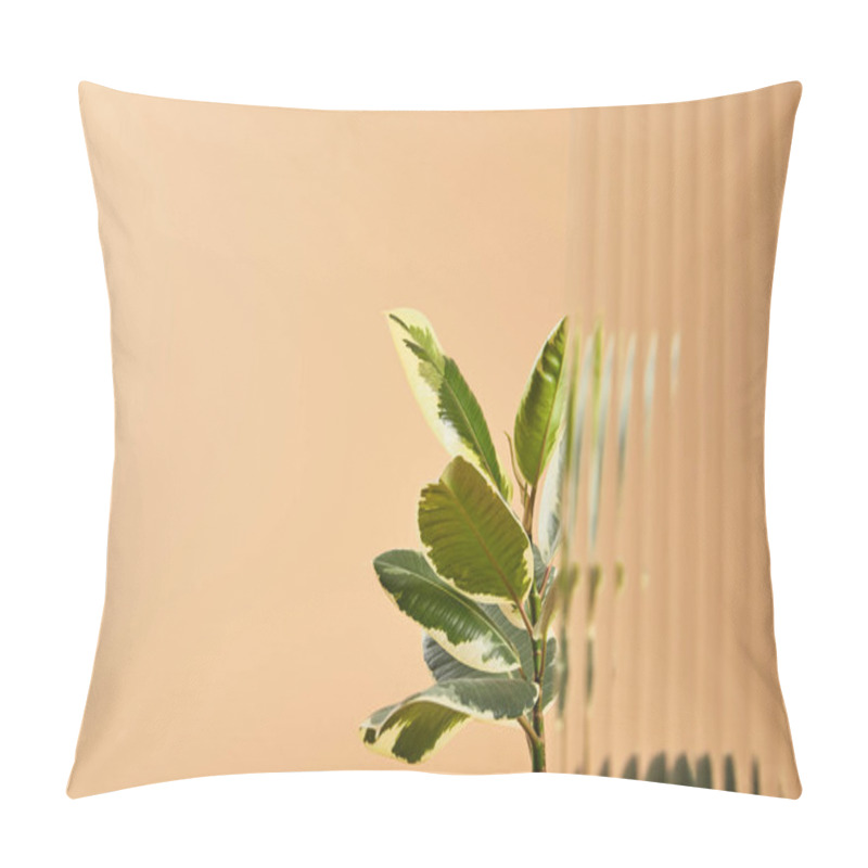 Personality  Selective Focus Plant Leaves Isolated On Beige Behind Reed Glass  Pillow Covers