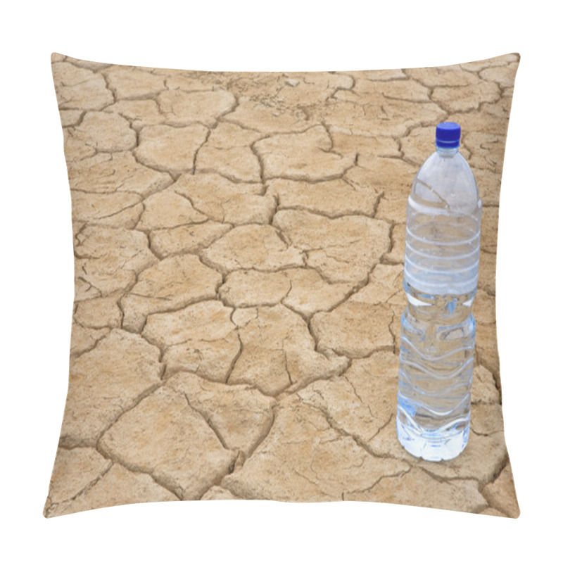 Personality  Water Bottle On Dry Ground Pillow Covers