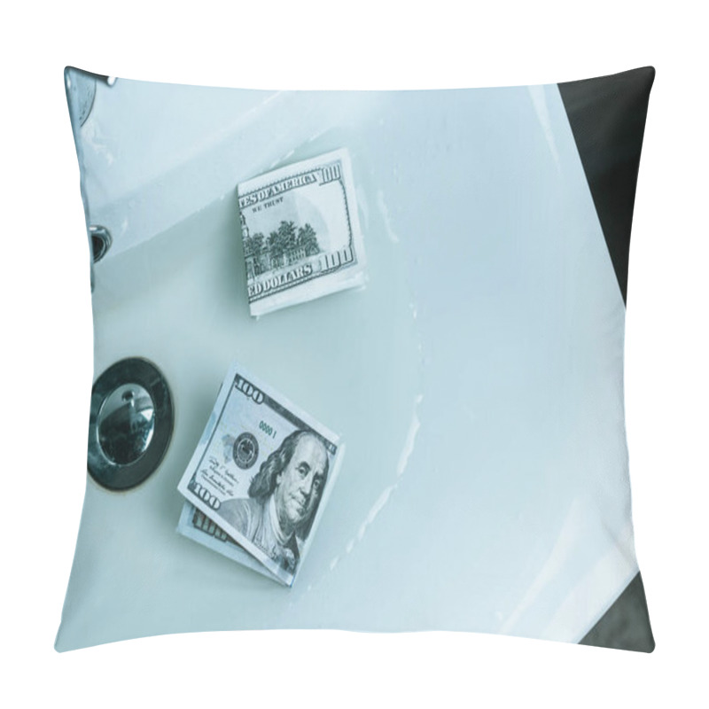 Personality  Top View Of Us Dollars In Water In Sink Pillow Covers