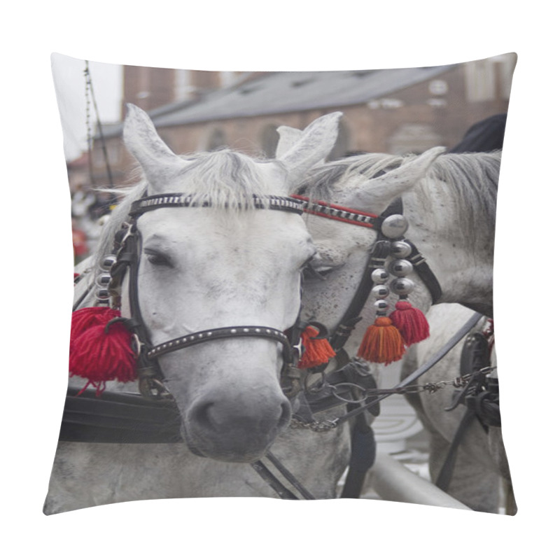 Personality  Two Beautiful Harnessed Horses Pillow Covers