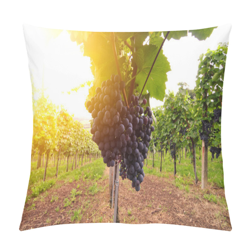 Personality  Red Grapes Lit By The Sun Pillow Covers