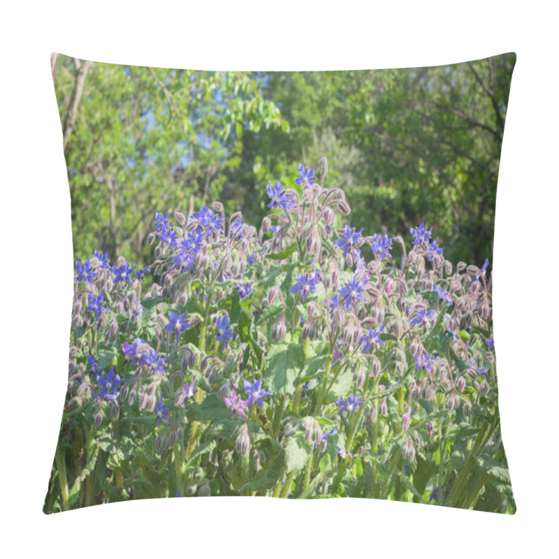 Personality  Borage Plant  Full Of Blue Star Flowers  During The Spring Pillow Covers