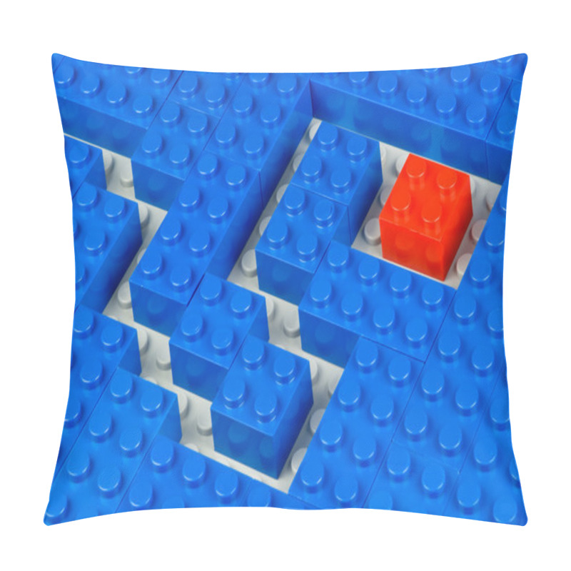 Personality  Pathes Trough A Field Of Blue Building Bricks Pillow Covers