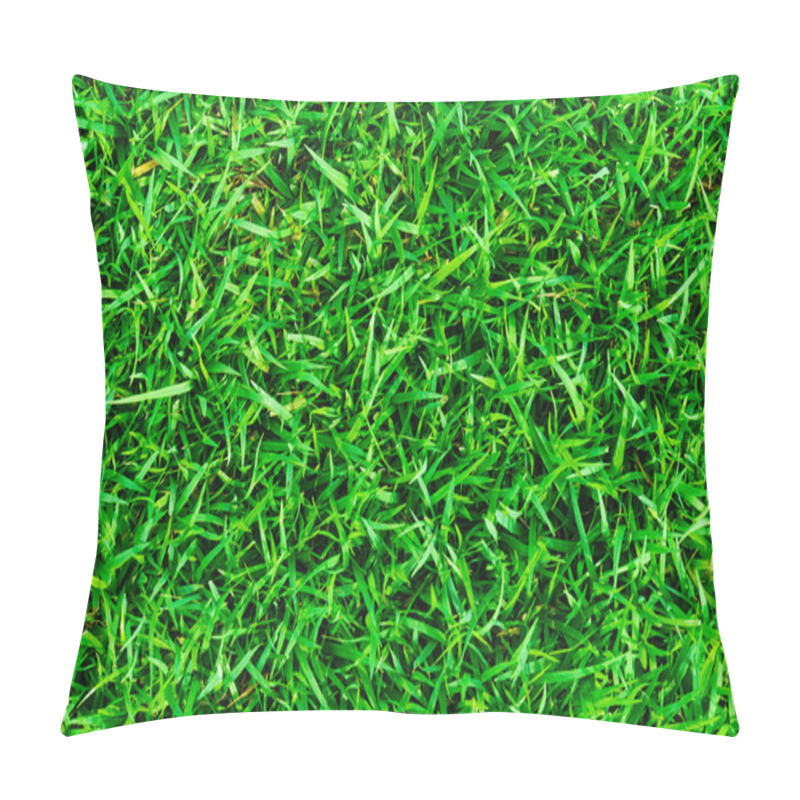 Personality  Beautiful Botany Green Grass In Garden Pillow Covers