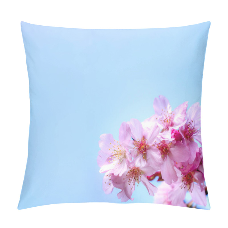 Personality  Beautiful Cherry Blossoms Sakura Tree Bloom In Spring Over The Blue Sky, Copy Space, Close Up. Pillow Covers