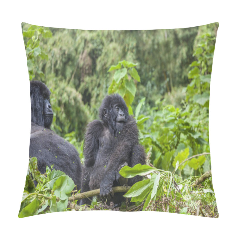 Personality  Mama Gorilla And Junior Silverback In Their Nest Pillow Covers