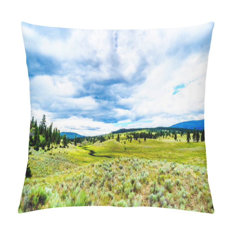 Personality  Dark Clouds Hanging Over Lodgepole Pine Trees On The Rolling Hills In A Dry Region Of The Okanagen Along Highway 5A Between Kamloops And Merritt In British Columbia, Canada Pillow Covers