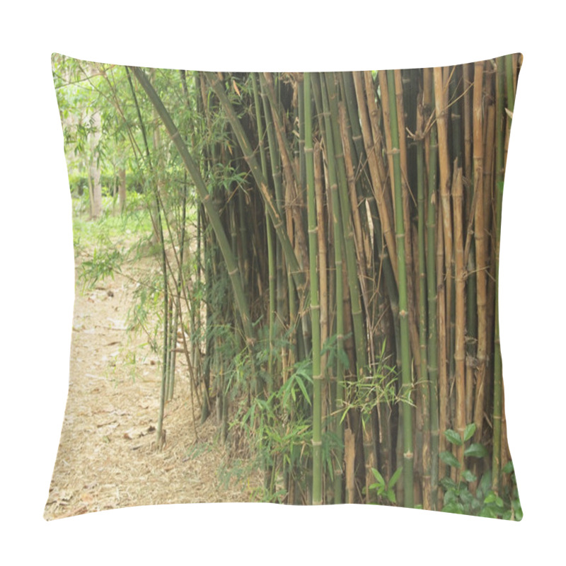 Personality  Bamboo Forest. Trees Background Inside Tropical Jungle Pillow Covers