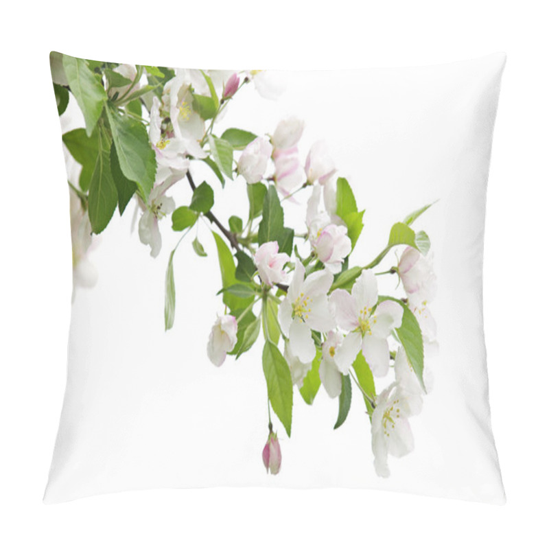 Personality  Blooming Apple Tree Branch Pillow Covers