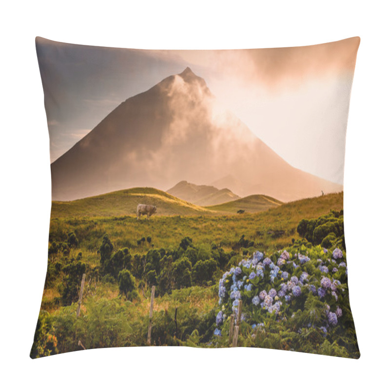 Personality  Huge Bull In Front Of Volcano Pico-Azores Pillow Covers