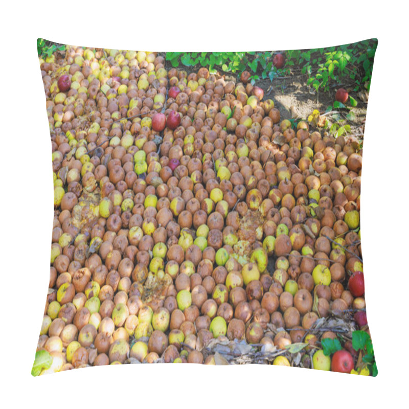 Personality  Apples That Fall From Trees Rot In Garden, Diseases Infected Apples Rot In Ground. Pillow Covers