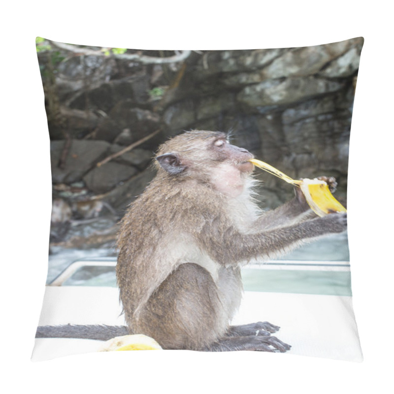 Personality  Monkey Banana Pillow Covers