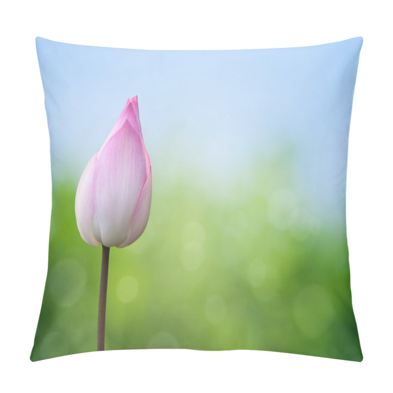 Personality  Pink Lotus On Spring Background Pillow Covers