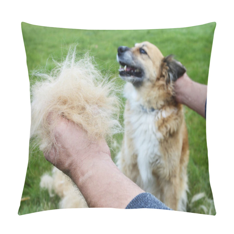 Personality  The Dog Sheds His Hair (moulting) And The Guardian Combs It.  Pillow Covers