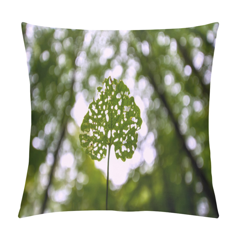 Personality  Leaf With Holes Eaten By Insects On Green  Background Pillow Covers