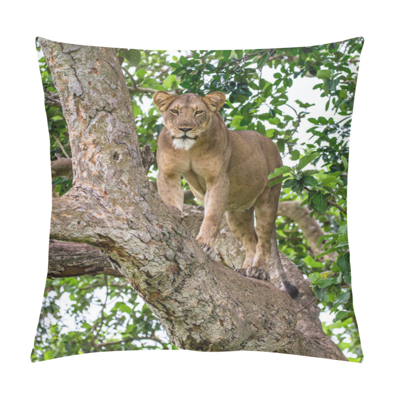 Personality  Lioness On Big Tree Pillow Covers