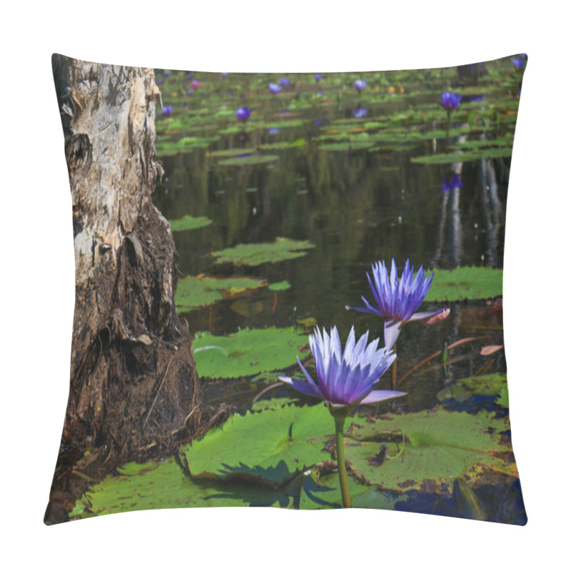 Personality  Landscape Purple Lotus Flowers At The Botanical Garden Are A Tourist Attraction In Rayong Province, Thailand. Pillow Covers