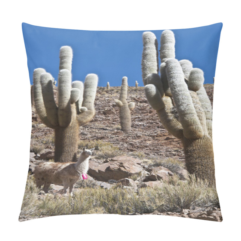 Personality  Lamas And Cacti. Paso De Jama, Andes Pillow Covers