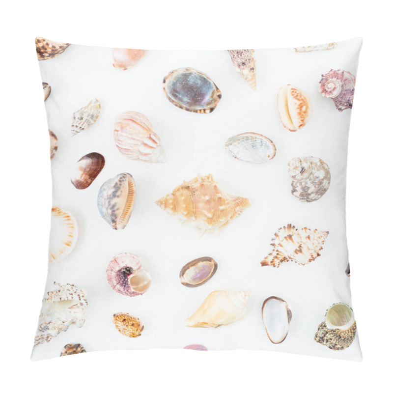 Personality  Various Sea Shells On White Pillow Covers