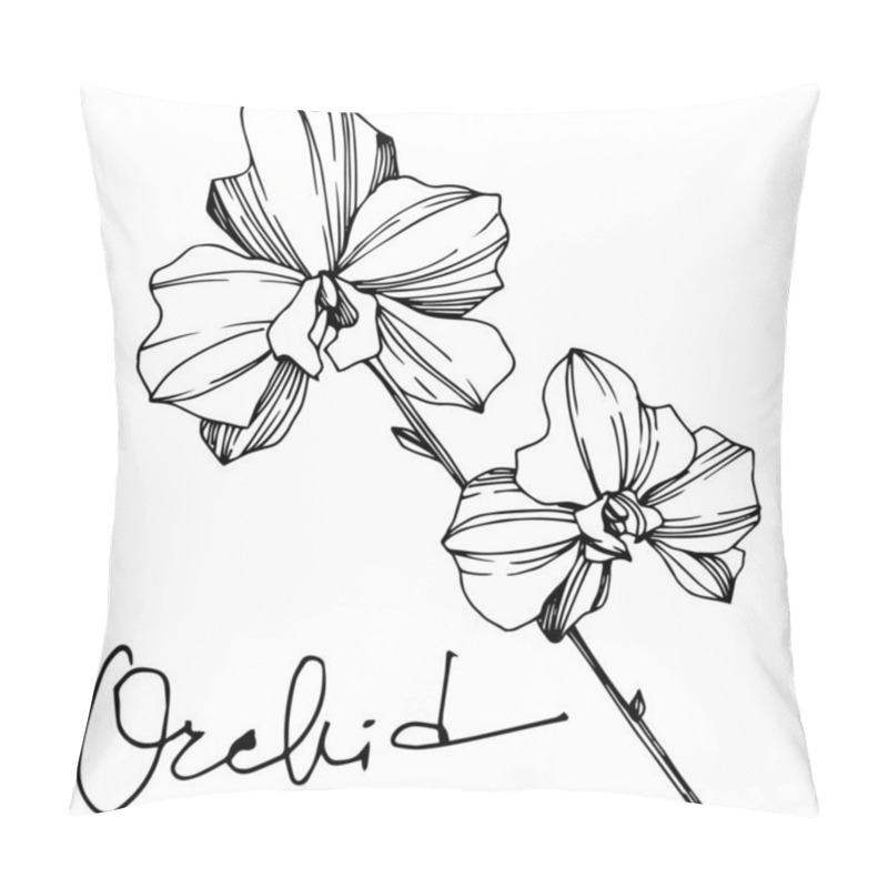 Personality  Orchid Floral Botanical Flowers. Black And White Engraved Ink Art. Isolated Orchids Illustration Element. Pillow Covers