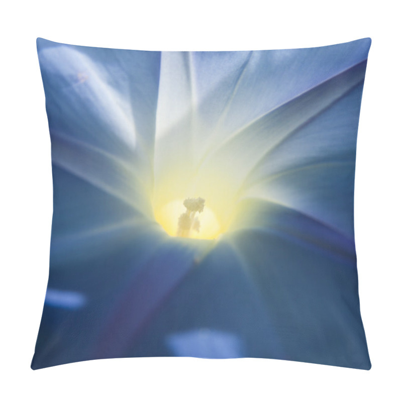 Personality  Morning Glory Square Background Pillow Covers