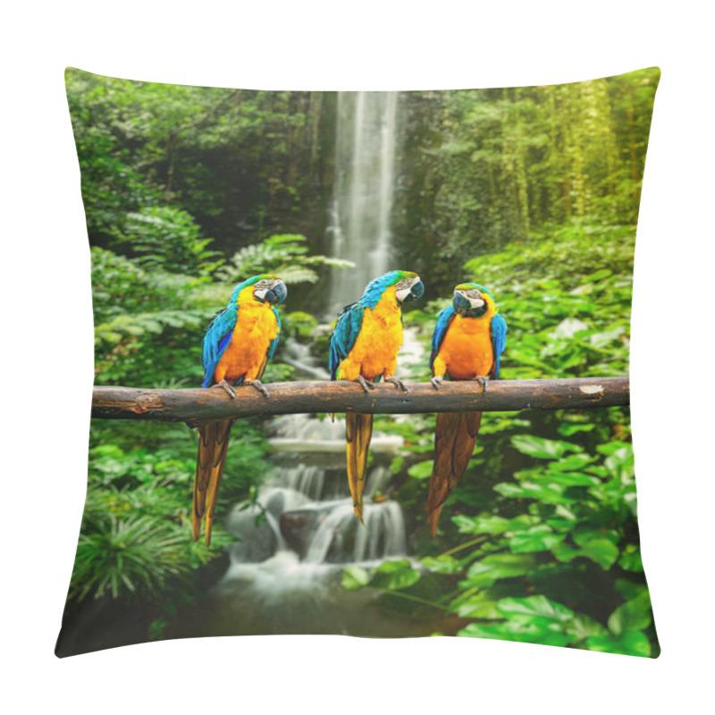 Personality  Blue-and-Yellow Macaw (Ara Ararauna), Also Known As The Blue-and-Gold Macaw Pillow Covers