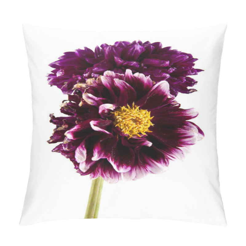 Personality  Flowers  On White Background Pillow Covers