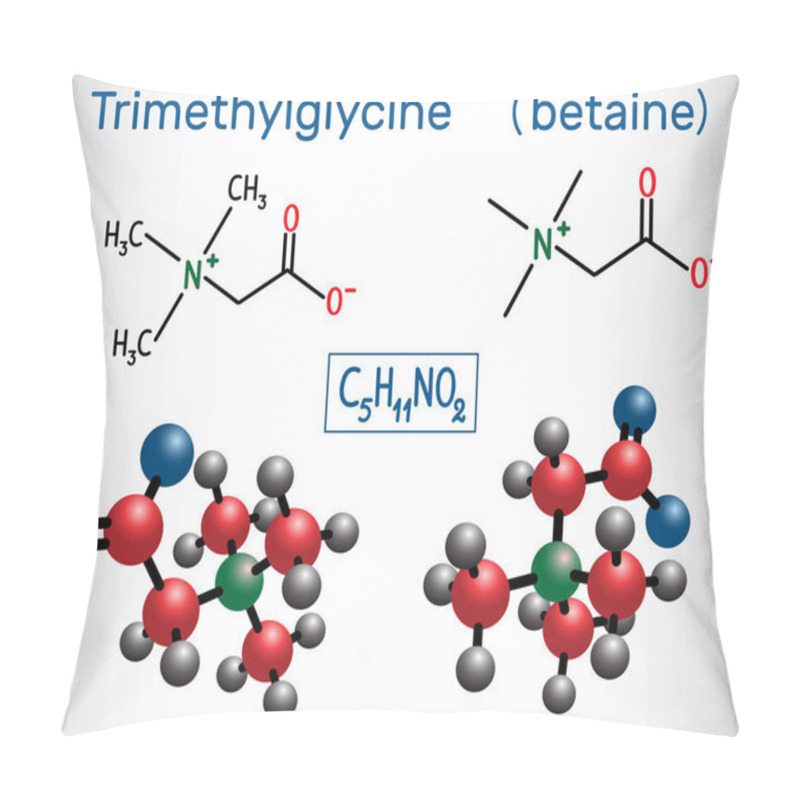 Personality  Trimethylglycine (TMG, Betaine, Glycine Betaine), Is Found In Sugar Beets.  Structural Chemical Formula And Molecule Model. Pillow Covers