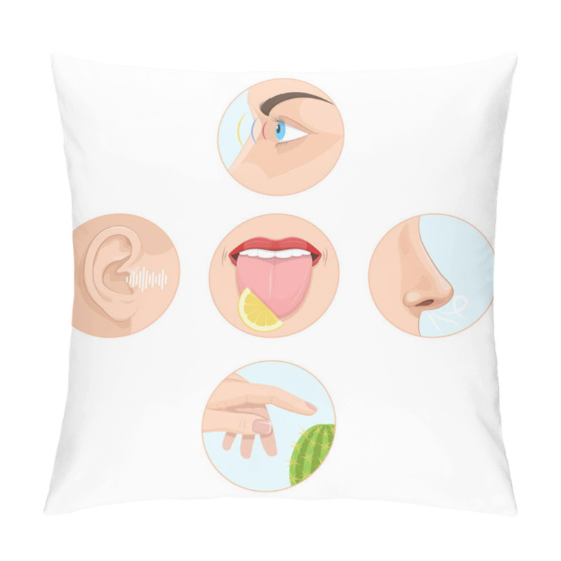 Personality  Set Of Five Senses Man. Anatomy, Human Organs. Pillow Covers