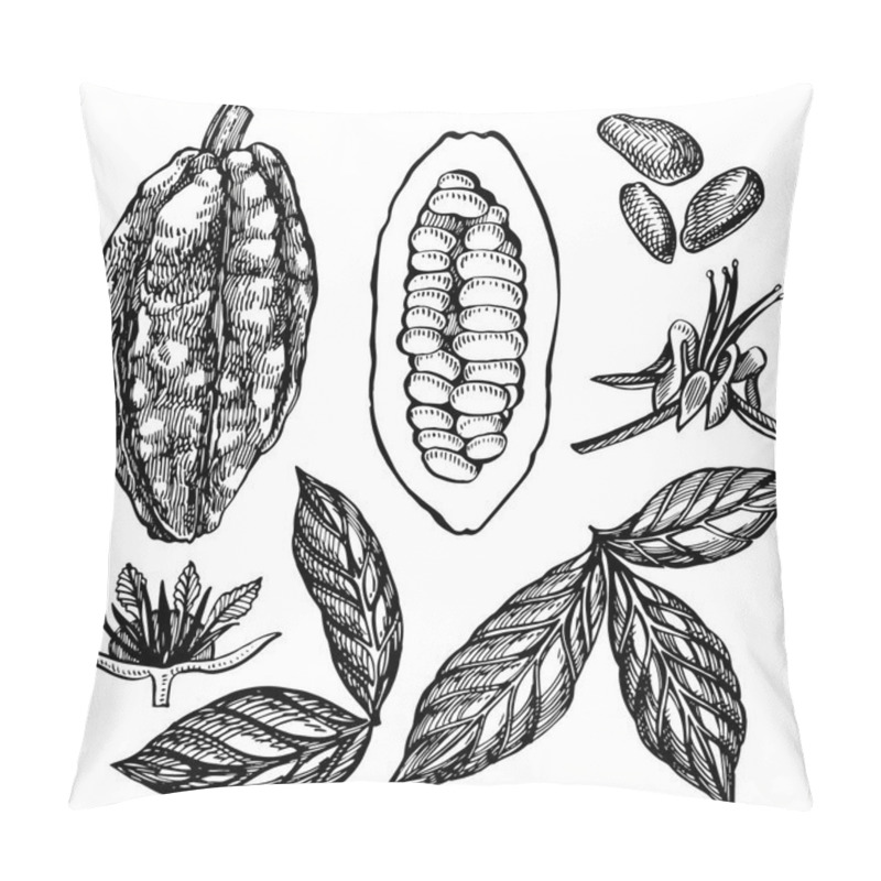 Personality  Set Cocoa Beans Vector Illustration. Engraved Style Illustration. Sketched Hand Drawn Cacao Beans, Tree, Leafs And Branches. Pillow Covers