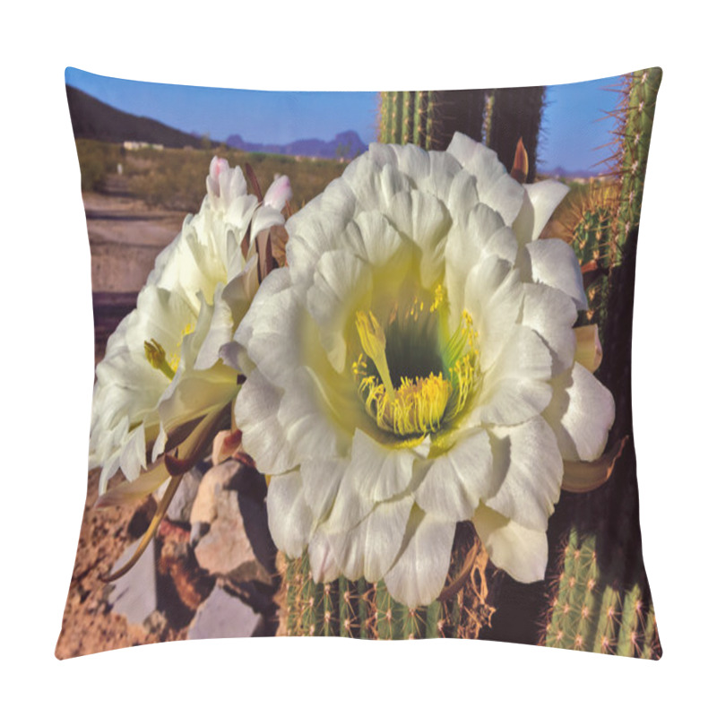 Personality  The Flowers Of Golden Torch Cactus Morning View Pillow Covers