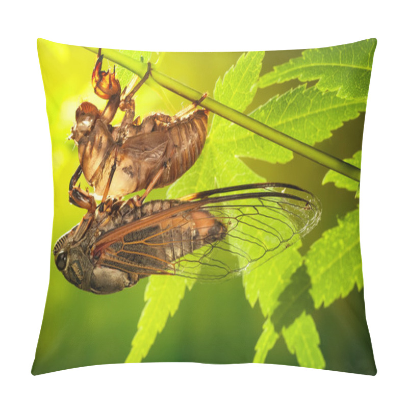 Personality  Cicada Pillow Covers