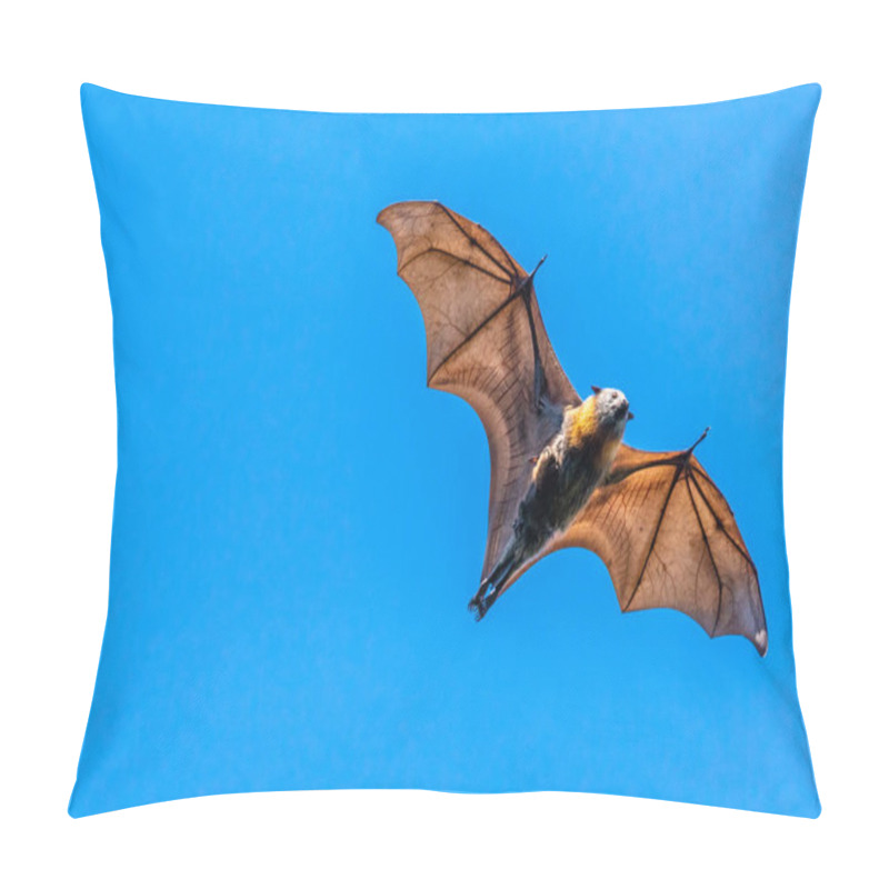 Personality  Isolated Fruit Bat, Flying Fox, On A Blue Sky Background Pillow Covers