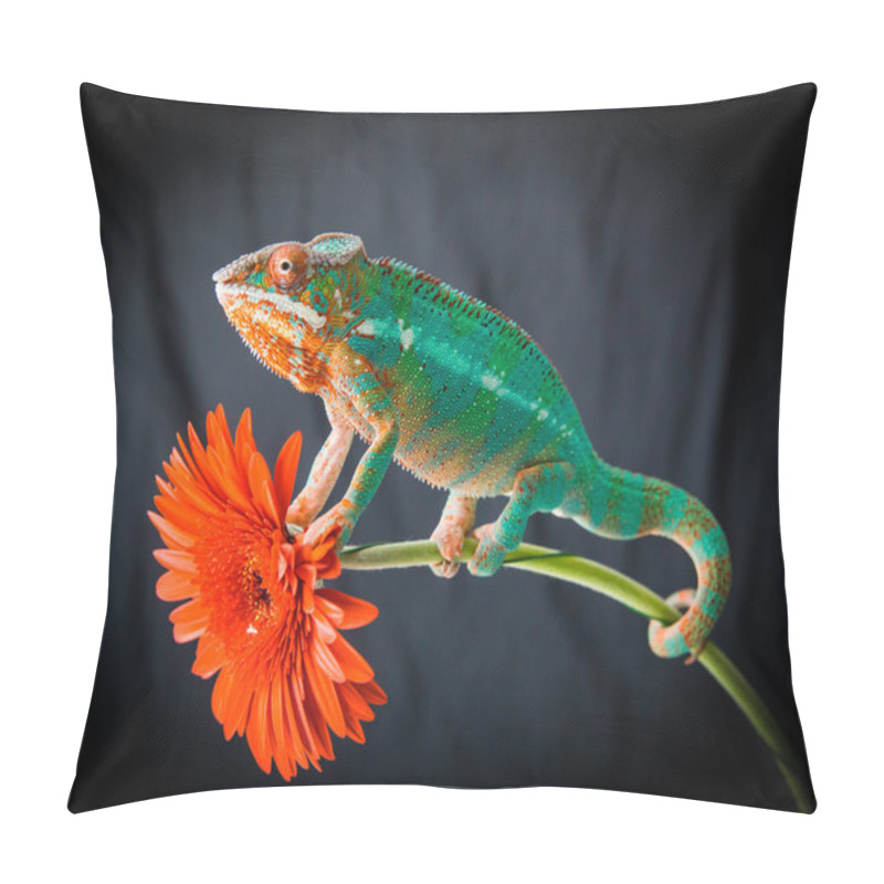 Personality  Panther Chameleon Sits On A Flower Pillow Covers