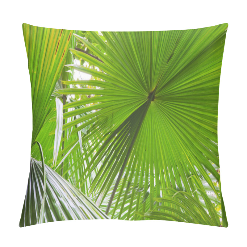 Personality  Palm Leaf Detail Pillow Covers