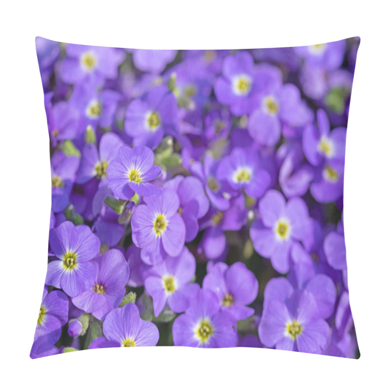 Personality  Blooming Blue Aubrieta, In The Spring Pillow Covers