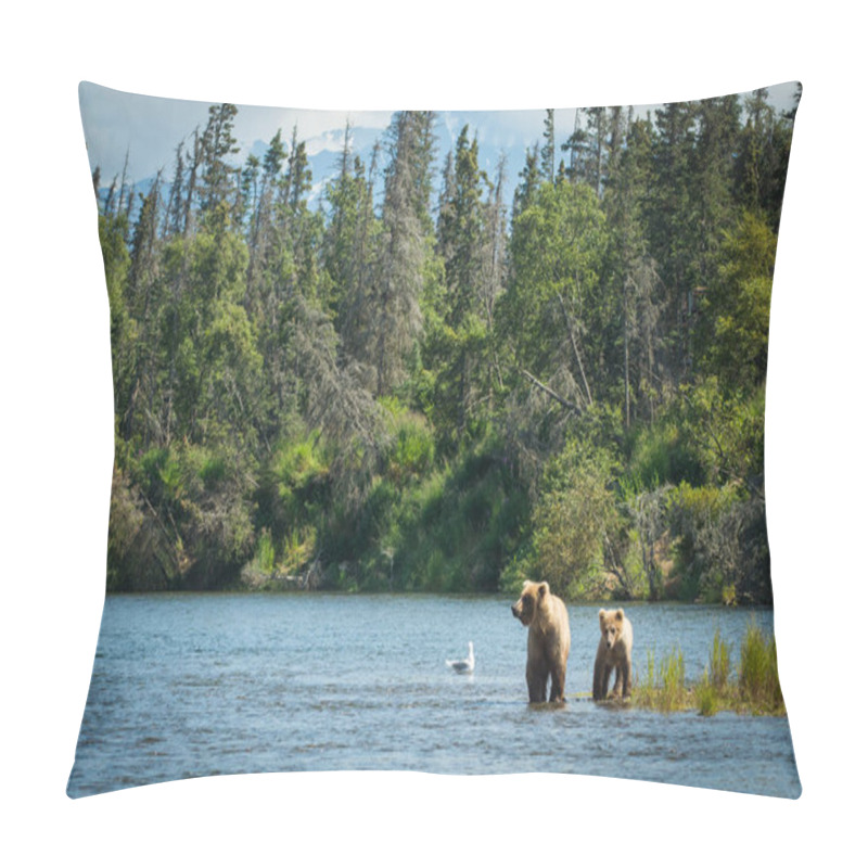 Personality  Alaskan Brown Bear Sow And Cub Pillow Covers