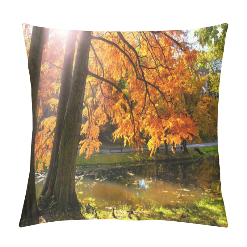 Personality  Autumn Forest At Sunset. Pillow Covers